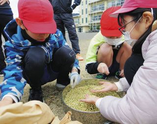 ＜つながる広がる 地域の食＞（下）農を伝える　授業で育て、食べ　芽吹く好奇心