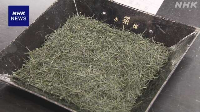 新茶の初取り引き 最高値は1キロ111万円余 静岡