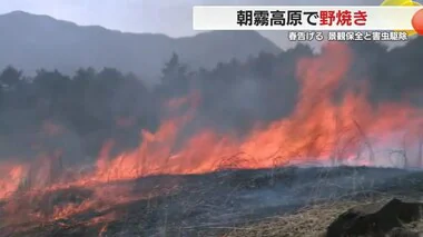 東京ドーム10個分以上！広大な朝霧高原で春を告げる野焼き　静岡・富士宮市