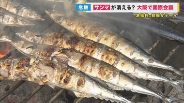 『サンマ』歴史的不漁　「安くておいしい」はずが高級魚　国際協調と養殖技術で「庶民の味」取り戻せるか