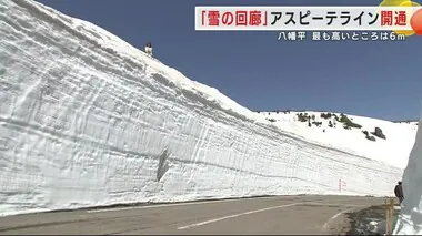 「雪の回廊」八幡平アスピーテライン開通　最も高いところは６ｍ＜岩手県＞