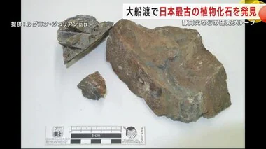 大船渡市で「日本最古の植物化石」を発見　静岡大などの研究グループ　前期デボン紀の植生解明＜岩手県＞