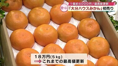 1個約4000円！！　最高値更新の「大分ハウスみかん」初売り　大分