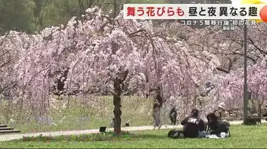 【サクラ中継】名所・展勝地　昼と夜で異なる趣　夜桜も美しい！初めて和傘のイルミネーションも＜岩手県＞