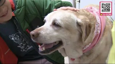 「盲導犬の大切な役割を改めて感じました」札幌・南区の「北海道盲導犬協会」が５年ぶりにイベント開催 “体験歩行”や“触れ合い”に大勢の市民が参加