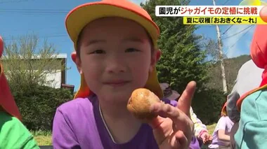 「おおきくな～れ」園児がジャガイモの定植に挑戦　夏に収穫して給食に「フライドポテト食べたい」