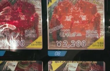 ついにここまで来たか…北海道で「カニの自販機」登場！ 「初めて見た カニ出るの？」特産“花咲ガニ”を24時間いつでも購入可能 車中泊キャンパーも歓喜 根室市