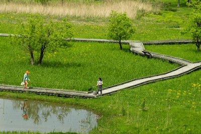 「日本一新幹線駅から近い」ラムサール湿地　生命の揺りかご