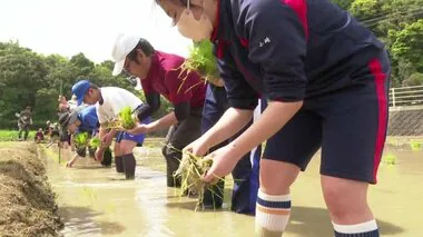 五島の高校生が田植え体験　「感謝しながら味わって食べれたら」【長崎】