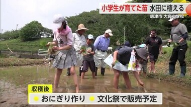 農業の大切さを知って 小学生が種もみから育てた苗を田植え【佐賀県唐津市】