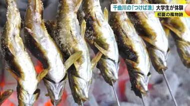 千曲川の初夏の風物詩“つけば漁”　大学生が体験「伝統に触れた」「インスタに映えるな」　