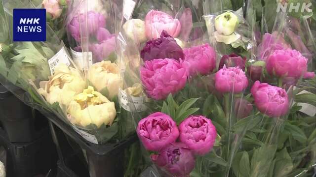 「母の日」に何贈る？特産の花や特別なサービスで感謝伝える