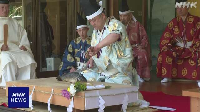 千葉 料理の神様まつる神社で「庖丁式」 手触れずに鯉をさばく