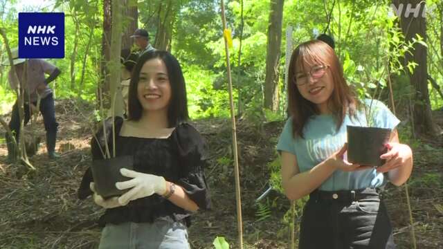 千葉 山武「日向の森」再生へ ボランティアら苗木約180本植樹