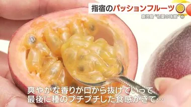 【シリーズ　初夏の味覚】指宿のパッションフルーツ　絶品パフェも！　鹿児島