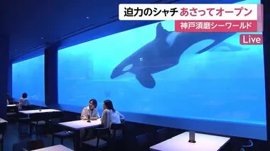「神戸須磨シーワールド」オープンへ　シャチを見ながら食事　イルカと触れ合えるプログラムも