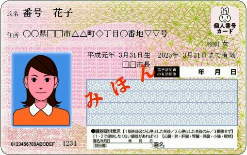 パスポート手数料、マイナンバー不使用で300円値上げ　政府が決定