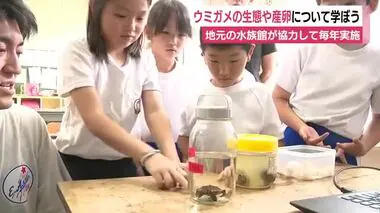 「産卵しているところを見てもそっとしておいてあげたい」　小学生がウミガメの生態学ぶ　静岡