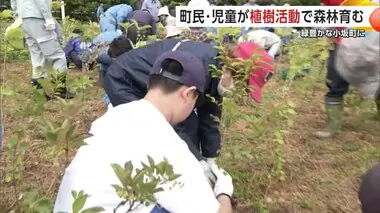 緑豊かな小坂町に　町民と児童が植樹活動で森林育む　秋田