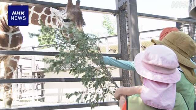 京都市動物園 七夕で来園者の願い事を実現する催し