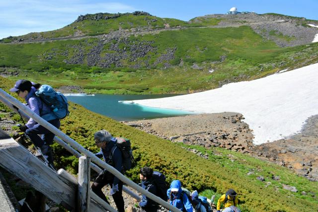 夏の北アルプス乗鞍岳、雪渓にスキー客　眼前には「高山植物の女王」