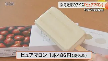 【1本なんと486円】クリの生産西日本1位の熊本・山鹿市で『やまが和栗』使ったアイス新発売 クリのうま味存分に