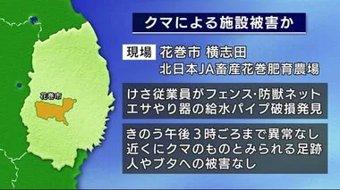 クマが養豚場の施設を破損か　近くに足跡　フェンスや給水パイプが被害　岩手・花巻市