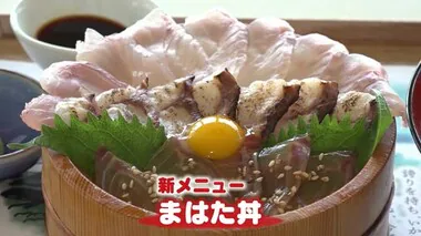 高級ブランド魚「若狭まはた」の期間限定メニュー登場　生・炙り・漬けの“3種丼”で幸せを【福井】