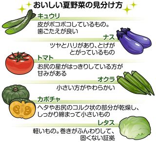 ＜食問＞夏野菜の選び方