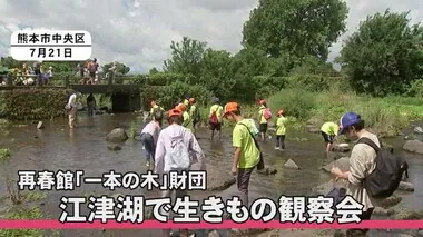 江津湖で生きもの観察会【熊本】