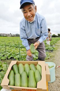 ＜食卓ものがたり＞歯応え「カリッ」ご飯モリモリ　カリモリ（愛知県知多市）