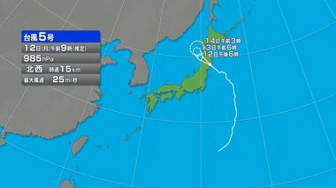 【台風5号】大船渡市に上陸　勢力維持したまま東北横断の見込み　新潟県内は下越で警報級の大雨の恐れ