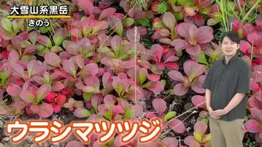 【北海道の天気 8/29(木)】大雪山系黒岳から秋の便り　紅葉はじまる！平地は厳しい残暑…道内５日ぶり真夏日に