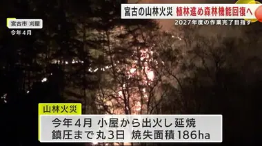 宮古市の山林火災　植林進め森林機能回復へ　２０２７年度の作業完了目指す　岩手県