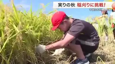 実りの秋 子供たちが稲刈りに挑戦！ ひとめぼれ・ササニシキ新米試食会〈宮城〉