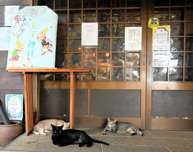 参拝者も招くよ「猫神さん」　境内に6匹、御朱印もお守りも猫だらけ