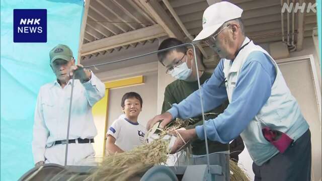 小学生が昔ながらの農機具で稲の脱穀作業を体験 山口 下松