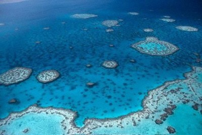 生物多様性、50年で73％低下　自然環境の損失、気候変動が影響