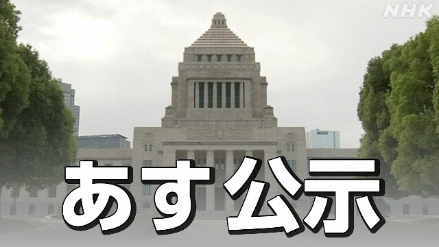 衆院選 あす公示 各党の党首ら祝日も各地で支持訴え【14日】