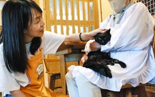 ニーズ増す「老犬・老猫ホーム」　事情で飼えないペットを預かり