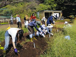 ＜つながる広がる 地域の食　有機必修30年＞（上）恵泉女学園大の実践　草も虫も…関わりの中で育む