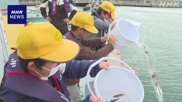 高級魚「キジハタ」の稚魚約500匹 小学生が放流 愛媛 今治