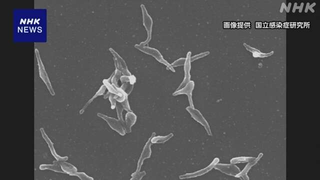 マイコプラズマ肺炎 患者数急増 5つの学会が感染対策など提言