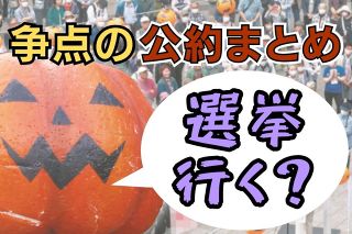 いよいよ投開票、一目で分かる争点の公約　マイナ保険証、物価高対策…「政治とカネ」も