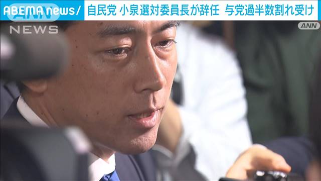 【速報】自民党の小泉進次郎選対委員長が辞任　衆院選での与党過半数割れを受け