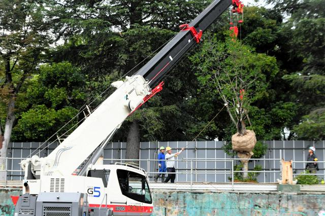 神宮外苑の再開発、樹木の伐採・移植はじまる　神宮第二球場を解体へ