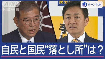 「手取り増やす」政策の実現は？自民と国民「部分連合」の“落とし所”は