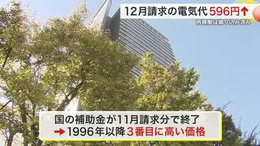 １２月請求の電気料金 平均世帯で５９６円値上がり 国の補助金終了受け過去３番目に高く〈宮城〉