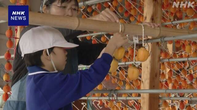 岡山 矢掛町 冬の味覚「最上干柿」づくりを子どもたちが体験