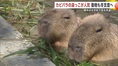 “カピバラの湯っこ”が人気　動物も人も冬支度へ　秋田